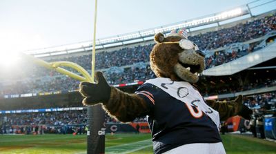 Bears’ Brisker Says Soldier Field Is Better Than Madden Replica