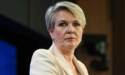 Tanya Plibersek says she will block Clive Palmer’s proposed coalmine near Great Barrier Reef