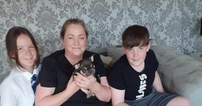 Man on roof, mum took her own life and full list of bus service changes