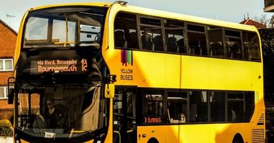 Bournemouth's Yellow Buses to cease trading, putting 250 jobs at risk