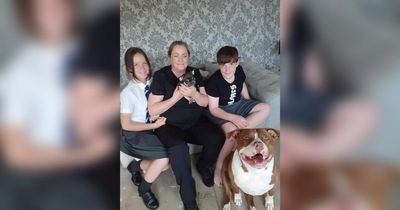 Family of tragic mum who took her own life sent important message