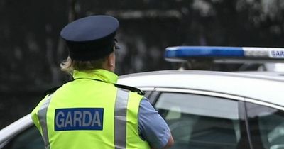 Shots fired at Dublin home in early morning incident