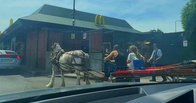 McDonald's drive-thru refuses to serve blokes on horse and cart due to 'health and safety concerns'