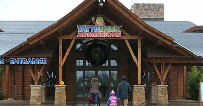 Tayto Park visitors forced to shelter in gift shop after three bison break out of enclosure