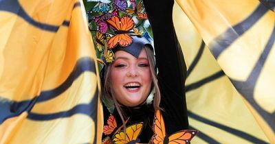 Things to do in Dublin this weekend including local festival and outdoor movies