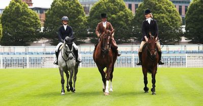WIN A Family Pass To The Dublin Horse Show