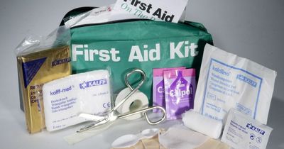 Essential items for a travel first aid kit to cope with most minor emergencies