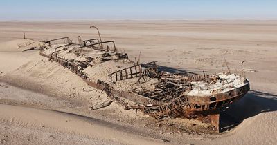 African coast dubbed 'Gates of Hell' home to lions, sharks and more than 1000 shipwrecks