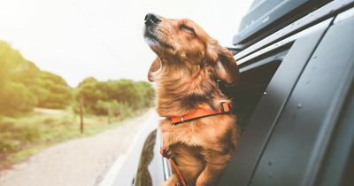 The strangest Scottish driving laws that could land you a whopping £1000 fine