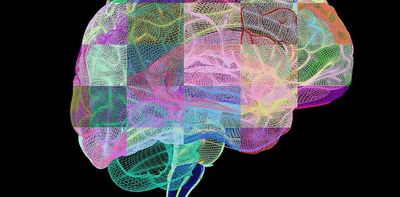 Illuminating the brain one neuron and synapse at a time – 5 essential reads about how researchers are using new tools to map its structure and function