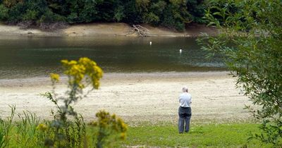 Horrifying drought map shows UK areas at risk of hosepipe ban as dry weather continues