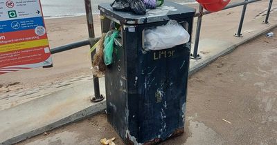 Skegness litter picker can't wait for summer to be over