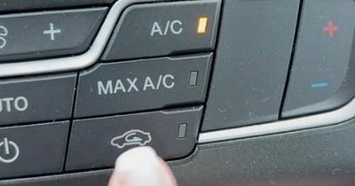 Driver shares little-known button found in every car that can save you fuel