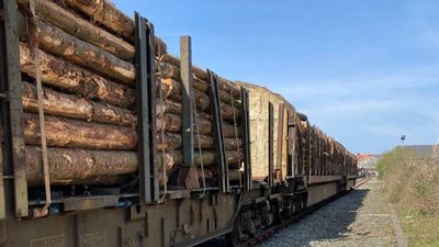 Cairngorms sawmill facing closure and 40 job losses
