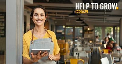 Businesses to be matched with mentors to help them grow