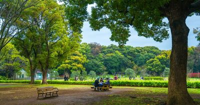 Couple praised for refusing to swap picnic tables with mother and baby