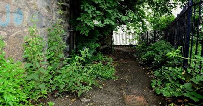 Heroin stash worth almost £100,000 found in bush near historic Stirling Castle walkway