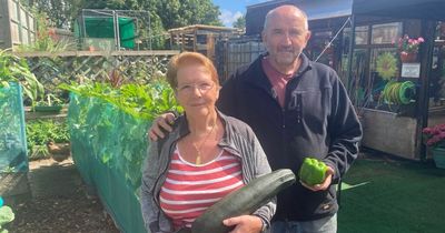 The pensioners growing their own veg for 'those in need' as food costs skyrocket