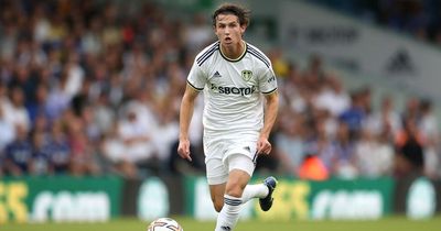 Brenden Aaronson tipped to offer Leeds United something they have previously 'lacked'