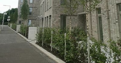 Where Glasgow's new cheaper rent homes are to be built this year