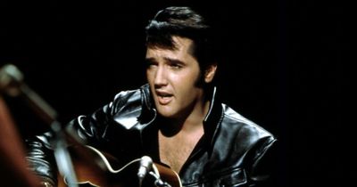 Elvis Presley's DNA used in experiment to genetically engineer Elvis-mice hybrids