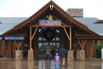 Park visitors forced to hide in gift shop after three bison escape enclosure