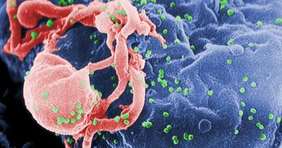 Man, 66, becomes fourth person to be seemingly 'cured' of HIV