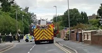 Man arrested after refusing to come down from roof