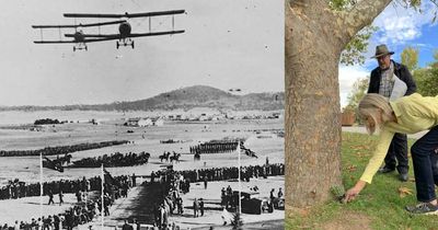 Solving the mystery of the Old Parliament House air tragedy