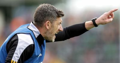 Derek Lyng named as new Kilkenny hurling boss