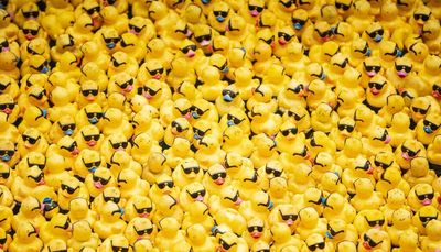 75,000 rubber ducks make a splash in Chicago River for this year’s ducky derby