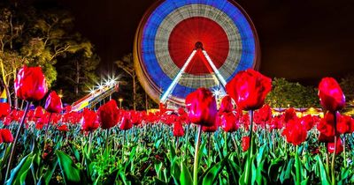 Floriade NightFest to return after two-year pandemic pause