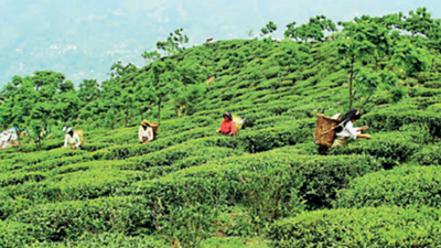 West Bengal forms six sub-committees to boost tourism