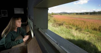 Congratulations to the ACT's top landcarer