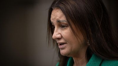 Jacqui Lambie tells defence royal commission that department spied on her from bush over backyard fence
