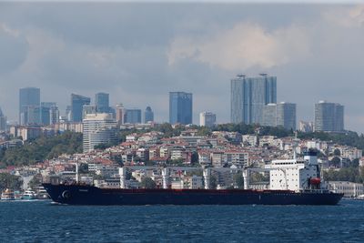 Ukraine calls for Black Sea grain deal to extend to other products - FT