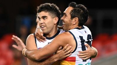 AFL boss Gillon McLachlan apologises to Eddie Betts over Adelaide Crows pre-season camp, amid talk of potential class action