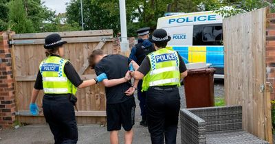 Weapons haul and 'banned dog' seized after police raid cricket club being 'used to store stolen vehicles'