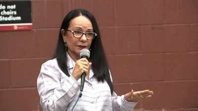 Federal Minister Linda Burney says National Centre of Indigenous Excellence must stay open