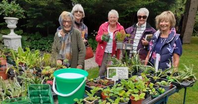 Blooming great garden open day raises more than £2000 for charity