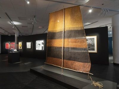 Arnhem Land weaving wins $100k art award