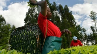 Kenya's farmers say they are tired of empty election promises