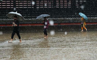 Orange alert in 8 districts as Kerala braces for isolated heavy showers