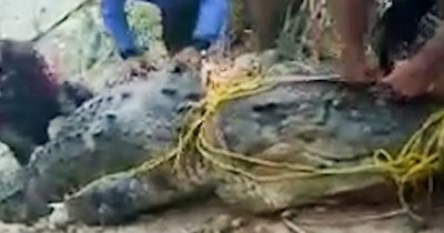 Man-eating 26ft crocodile that ate fisherman alive caught after three-day hunt
