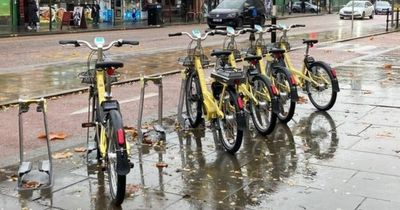 Quarter of Bee Bikes already missing in seven months since scheme launched