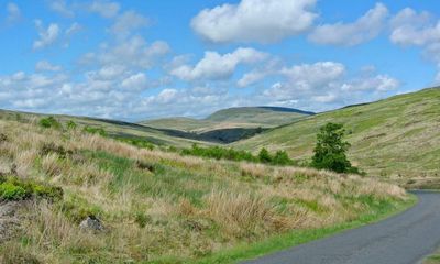 Scottish rewilding project hits £2.2m buyout target