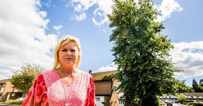 Teacher banned from pruning her own 72ft tree despite fears it could crush her Darlington home