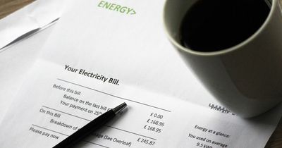 Octopus Energy issue update to customers ahead of price cap hike