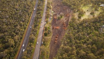 Bunbury Outer Ring Road construction halted with 11th hour Federal Court injunction