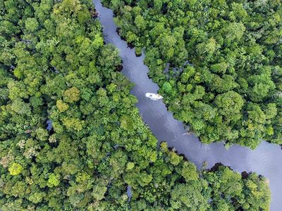 Brazil’s Rio Negro: Exploring the largest swathe of protected rainforest in South America